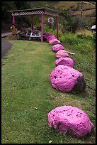 Rocks painted pink, Kahakuloa. Maui, Hawaii, USA