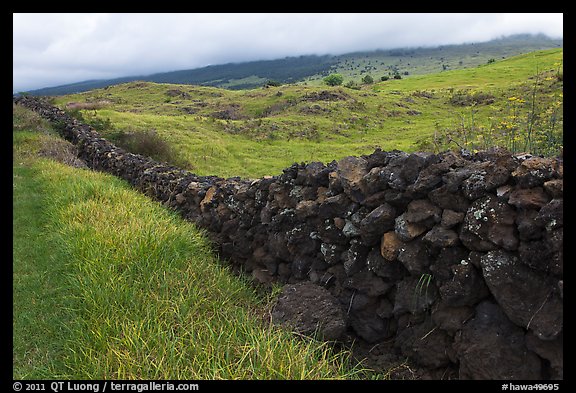 Long lava rock wall and pastures. Maui, Hawaii, USA