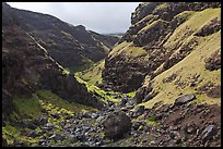 Deeply eroded canyon. Maui, Hawaii, USA