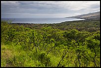 Mamalu Bay seen from verdant hills. Maui, Hawaii, USA