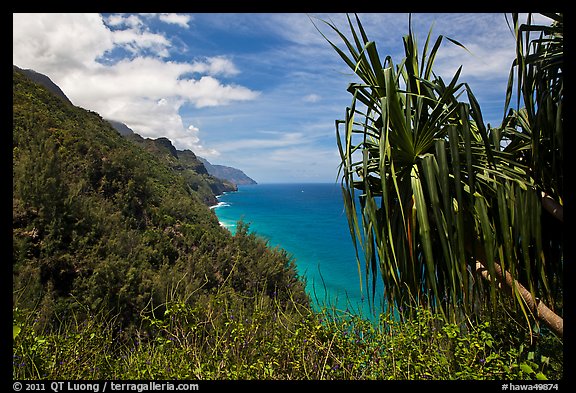 Jagged green cliffs plunging into blue waters, Na Pali coast. Kauai island, Hawaii, USA