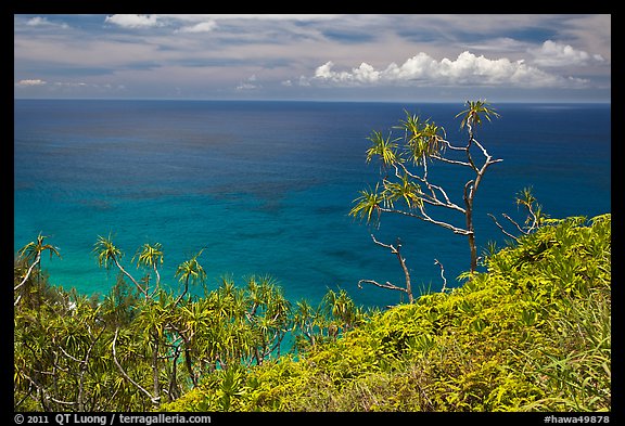 Ocean view from Kalalau trail. Kauai island, Hawaii, USA (color)