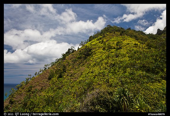 Tropical hill and clouds, Na Pali coast. Kauai island, Hawaii, USA