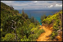 Hiking Kalalau trail. Kauai island, Hawaii, USA (color)