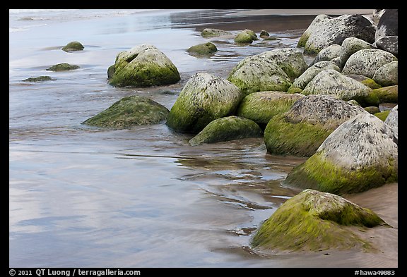 Mossy rocks on Hanakapiai Beach. Kauai island, Hawaii, USA
