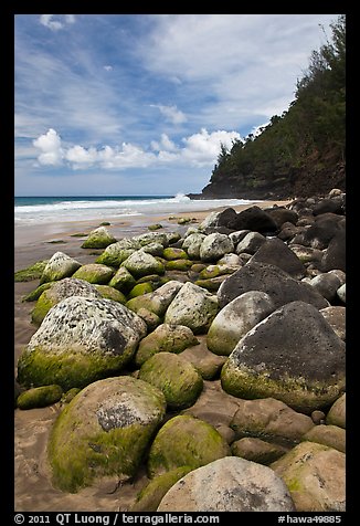 Hanakapiai Beach and rocks. Kauai island, Hawaii, USA (color)