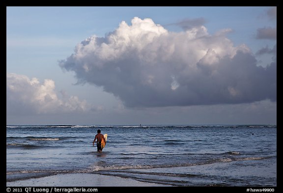 Surfer heading out in ocean. Kauai island, Hawaii, USA (color)