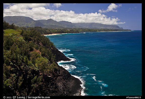 Coastline from Kilauea Point. Kauai island, Hawaii, USA (color)