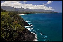 Coastline from Kilauea Point. Kauai island, Hawaii, USA ( color)
