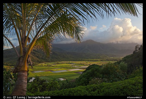 Hanalei Valley from above, sunset. Kauai island, Hawaii, USA