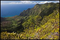 Kalalau Valley and fluted mountains. Kauai island, Hawaii, USA (color)