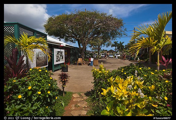 Kilauea market. Kauai island, Hawaii, USA (color)