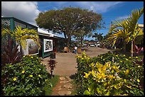 Kilauea market. Kauai island, Hawaii, USA ( color)