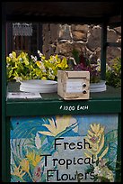 Self-serve fresh tropical flowers stand. Kauai island, Hawaii, USA ( color)