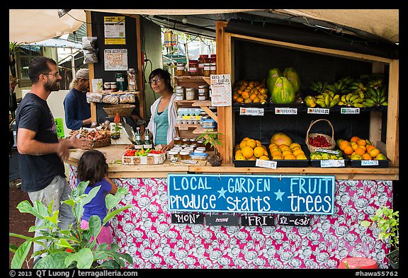 Produce stand, Pahoa. Big Island, Hawaii, USA