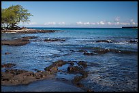 Rocks with bird in distance, Kiholo Bay. Big Island, Hawaii, USA (color)