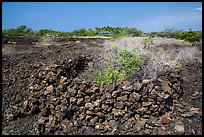 Ancient rock enclosures, Kaloko-Honokohau National Historical Park. Hawaii, USA ( color)