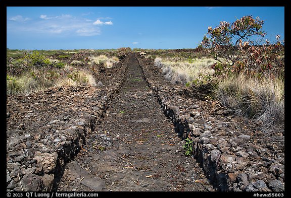 Ancient trail, Kaloko-Honokohau National Historical Park. Hawaii, USA (color)