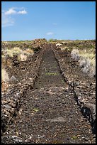 Ancient road made of lava rocks, Kaloko-Honokohau National Historical Park. Hawaii, USA (color)