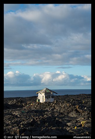 House, lava field, and Ocean, Kalapana. Big Island, Hawaii, USA (color)