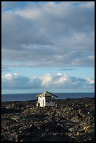 House, lava field, and Ocean, Kalapana. Big Island, Hawaii, USA ( color)