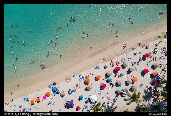 Aerial view of palm trees and beach with umbrellas looking down, Waikiki. Waikiki, Honolulu, Oahu island, Hawaii, USA (color)