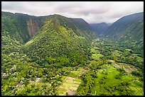 Aerial view of fields and steep slopes, Waipio Valley. Big Island, Hawaii, USA ( color)