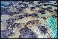 Aerial view of lava rocks and Kapoho tidepools. Big Island, Hawaii, USA ( color)
