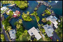 Aerial view of houses and Champagne Ponds. Big Island, Hawaii, USA ( color)