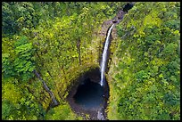 Aerial view of Akaka Falls dropping into luxuriant bowl. Akaka Falls State Park, Big Island, Hawaii, USA ( color)