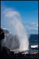 Nakalele blowhole. Maui, Hawaii, USA ( color)