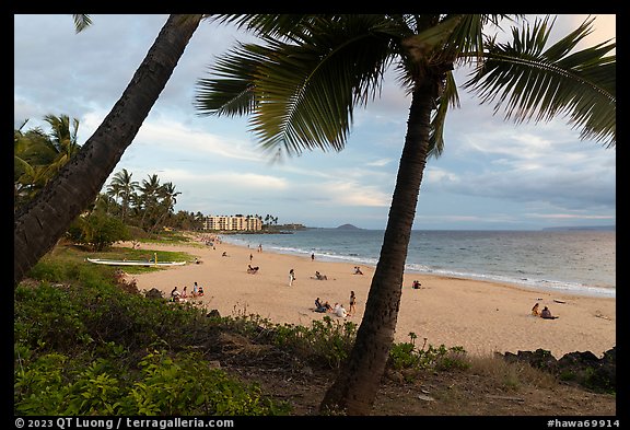 Palm trees and beach in late afternoon, Kihei. Maui, Hawaii, USA (color)
