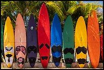 Brightly colored surfboards, Paia. Maui, Hawaii, USA ( color)