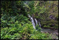 Waterfall along Hana Highway. Maui, Hawaii, USA ( color)