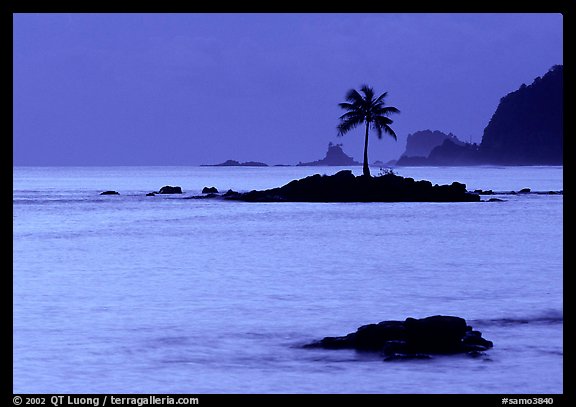 Lone coconut tree on a islet in Leone Bay, dusk. Tutuila, American Samoa