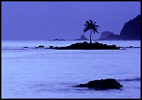 Lone coconut tree on a islet in Leone Bay, dusk. Tutuila, American Samoa (color)