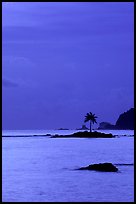 Coconut tree on islet in Leone Bay, dusk. Tutuila, American Samoa (color)