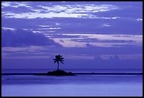 Lone palm tree on a islet in Leone Bay, dusk. Tutuila, American Samoa