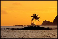 Lone coconut tree on a islet in Leone Bay, sunset. Tutuila, American Samoa ( color)