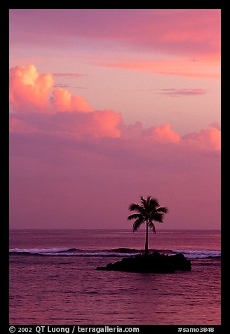 Lone palm tree on a islet in Leone Bay, sunset. Tutuila, American Samoa (color)