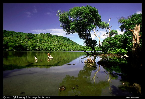 Pala quicksand lake. Aunuu Island, American Samoa (color)