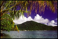 Masefau Bay and Village. Tutuila, American Samoa (color)