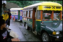 Colorful aiga busses, Pago Pago. Pago Pago, Tutuila, American Samoa (color)