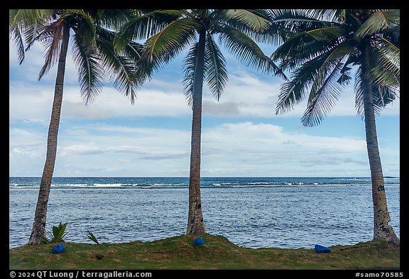 Blue rocks, palm trees, Fagaitua Bay. Tutuila, American Samoa (color)