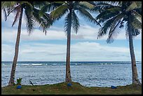 Blue rocks, palm trees, Fagaitua Bay. Tutuila, American Samoa ( color)