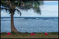 Red rocks, palm tree, Fagaitua Bay. Tutuila, American Samoa ( color)