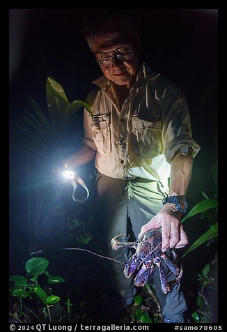 Tommy holding catched coconut crab at night, Ofu Island. American Samoa (color)