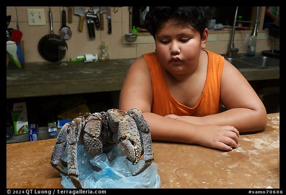 George looking at frozen coconut crab, Ofu Island. American Samoa (color)