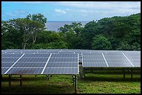 Solar farm, Ofu Island. American Samoa ( color)