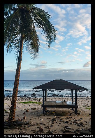 Palm tree and beach shelter, Tau Island. American Samoa (color)